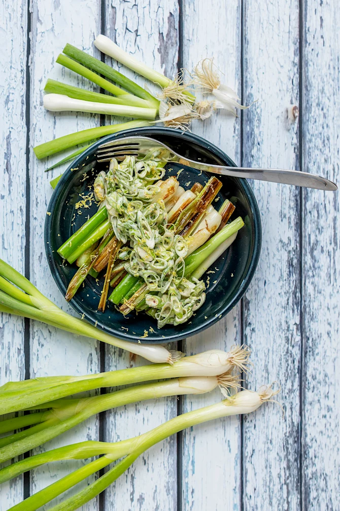 Forårsløg med spicy creme fraiche