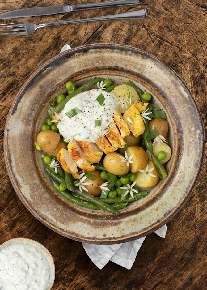 Karrymarineret kylling med lun kartoffelsalat og tzatziki